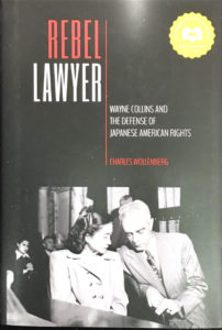 Rebel Lawyer book cover